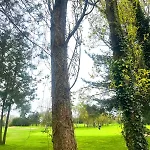 1 4 Pers - Piscine Chauffe - Parking Gratuit - Vue Golf - La Deauvillaise Du Golf