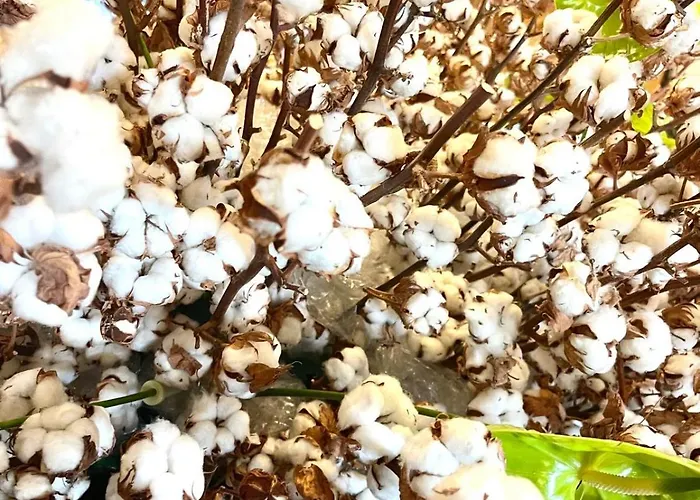 1 4 Pers - Piscine Chauffe - Parking Gratuit - Vue Golf - La Deauvillaise Du Golf * Deauville