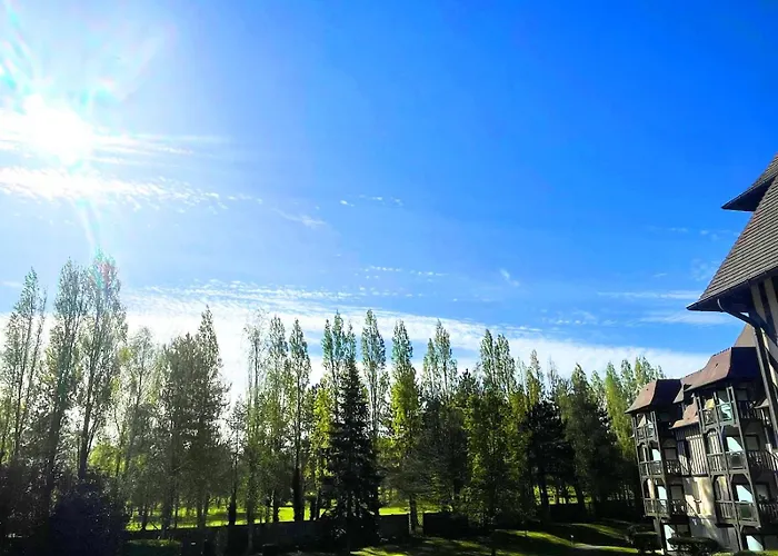 1 4 Pers - Piscine Chauffe - Parking Gratuit - Vue Golf - La Deauvillaise Du Golf Apartment *