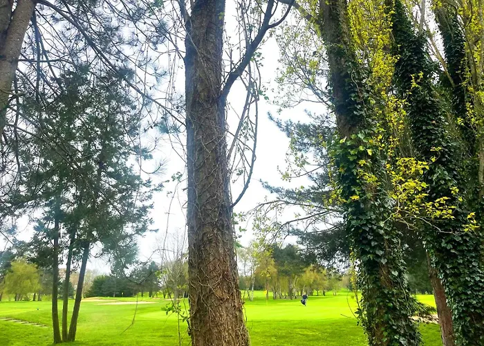 1 4 Pers - Piscine Chauffe - Parking Gratuit - Vue Golf - La Deauvillaise Du Golf