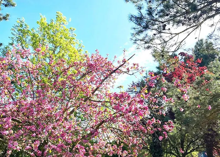 1 4 Pers - Piscine Chauffe - Parking Gratuit - Vue Golf - La Deauvillaise Du Golf * Deauville