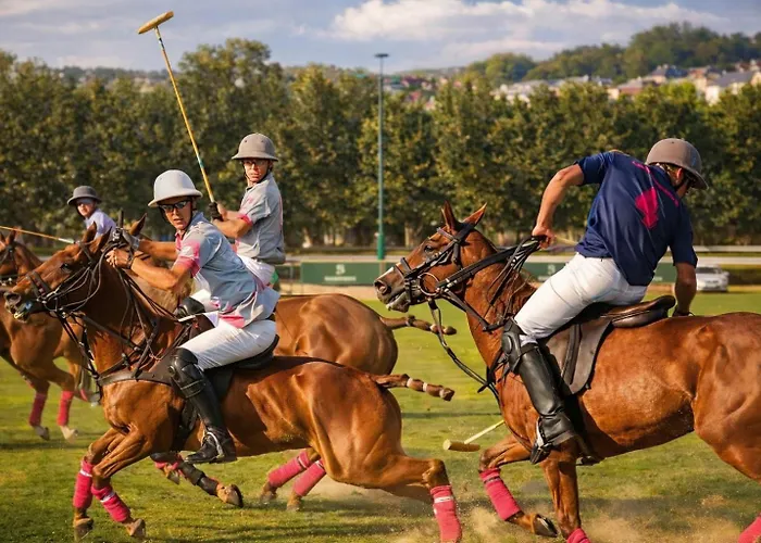 1 4 Pers - Piscine Chauffe - Parking Gratuit - Vue Golf - La Deauvillaise Du Golf * Deauville